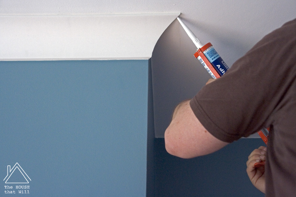 The House that Will | DIY Coving Installation - How to Install Coving