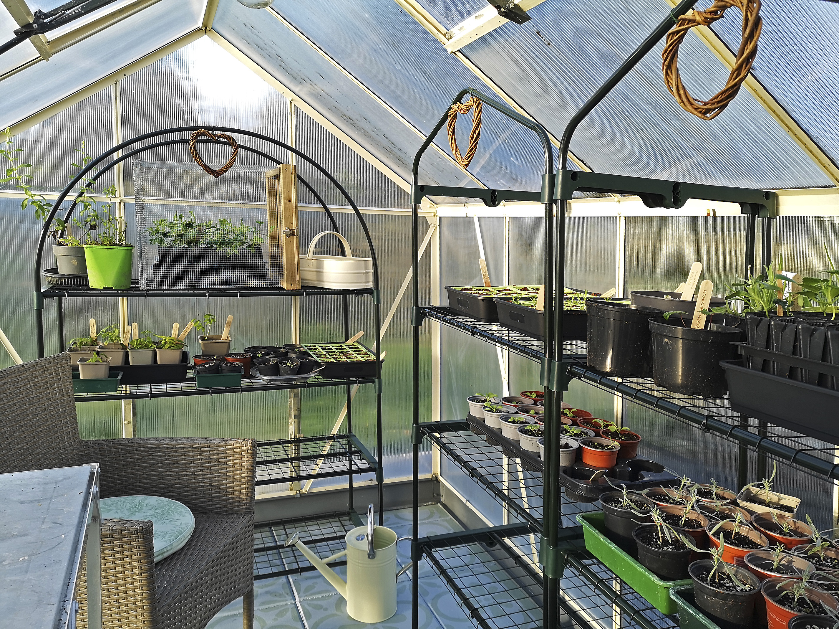 The House that Will | Greenhouse Renovation