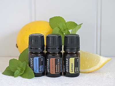 Essential Oils in the Home